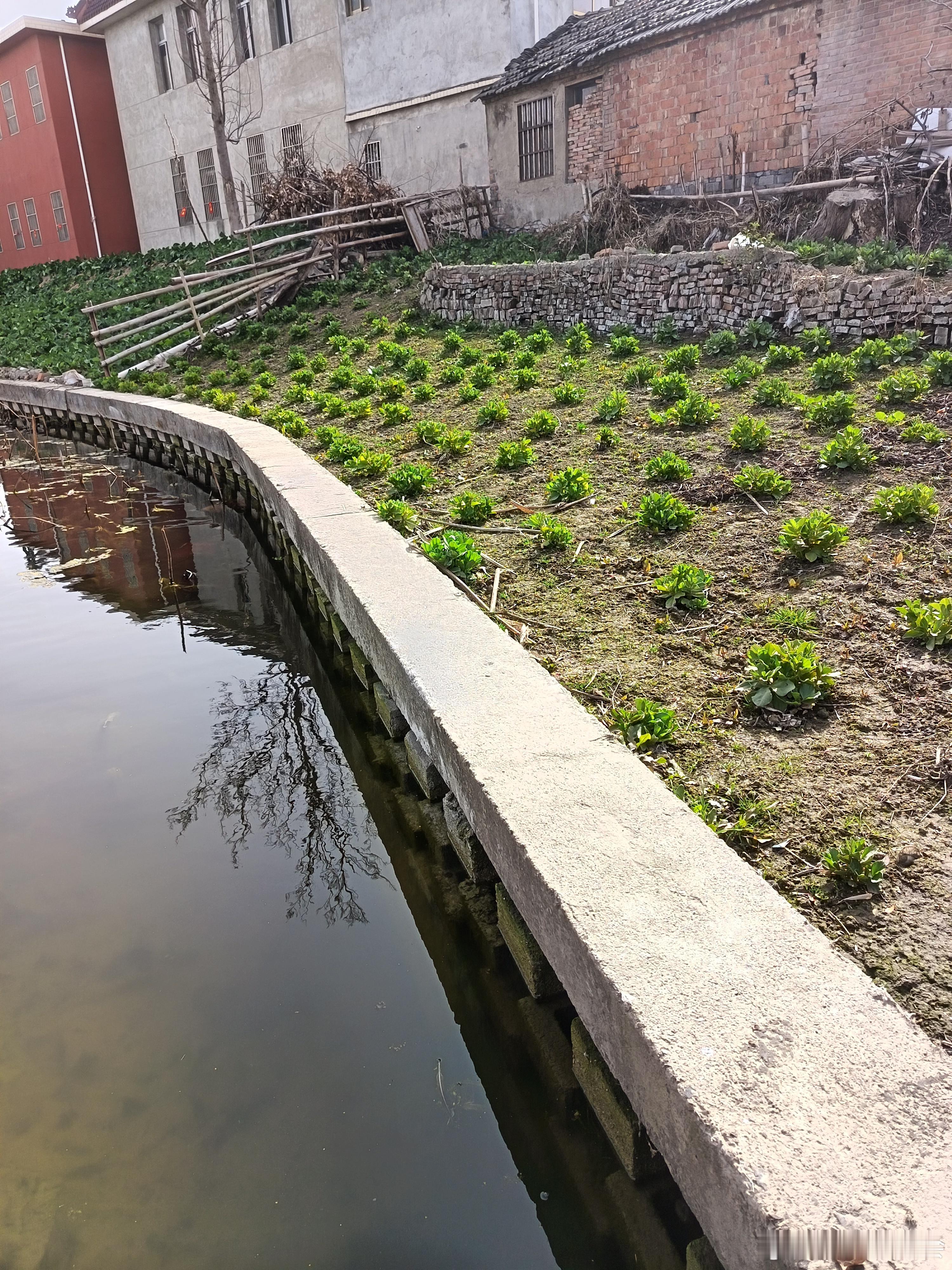 十字路口的选择，稻山嘉宽，江苏家运，量子纠缠中有古迹！ 