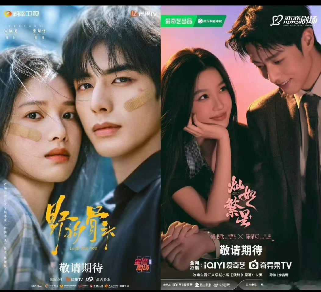 虞书欣张婧仪对打 虞书欣《灿如繁星》与张婧仪《野狗骨头》今日（7月5日）同日开播