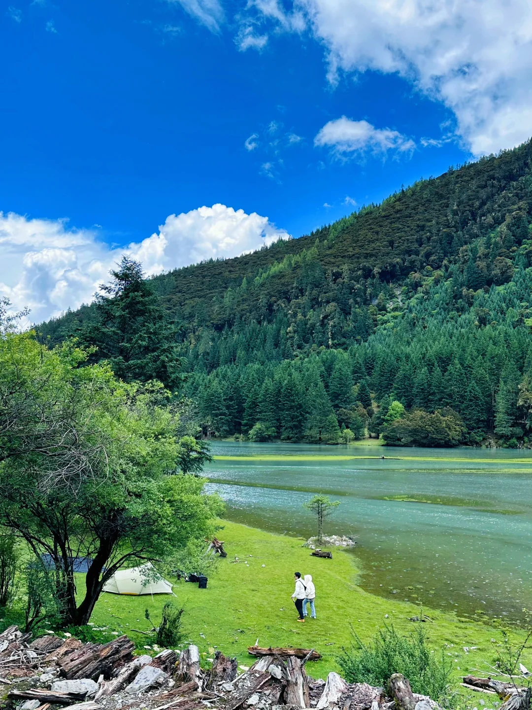 就现在‼️🆘快来川西感受“活起来”的夏天🏔️