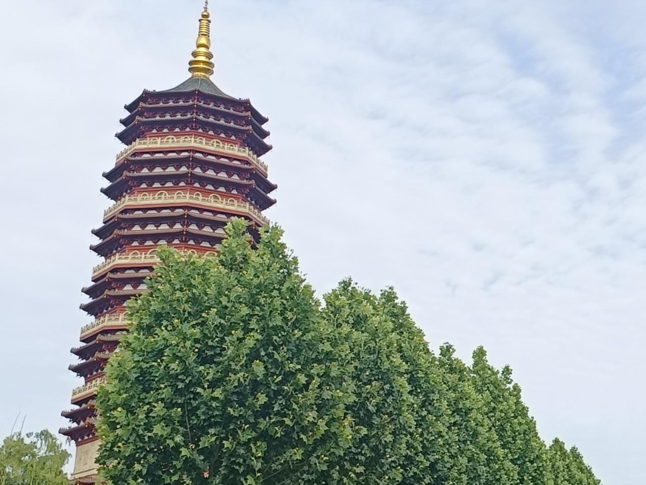 看花看景看世界，一草一木皆有情。