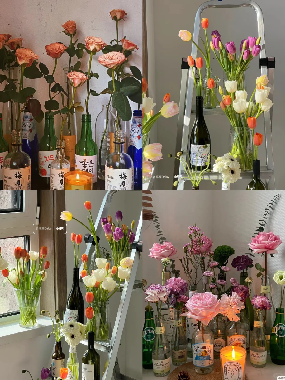 生活需要鲜花来点缀