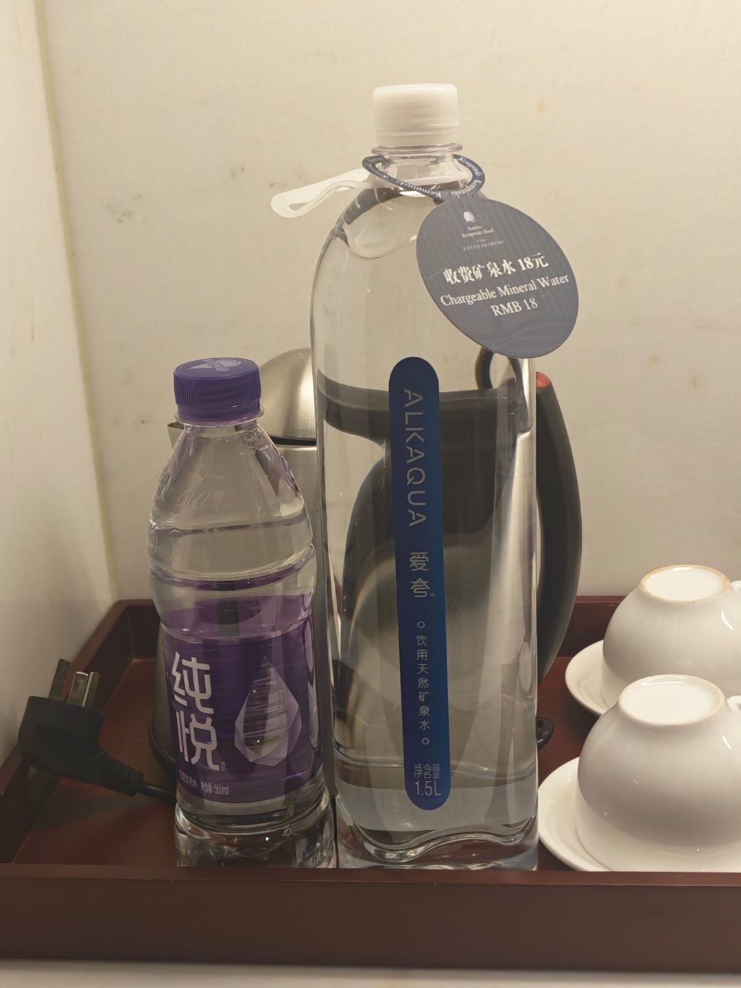vocal 酒店给了一瓶巨大无比的水 
