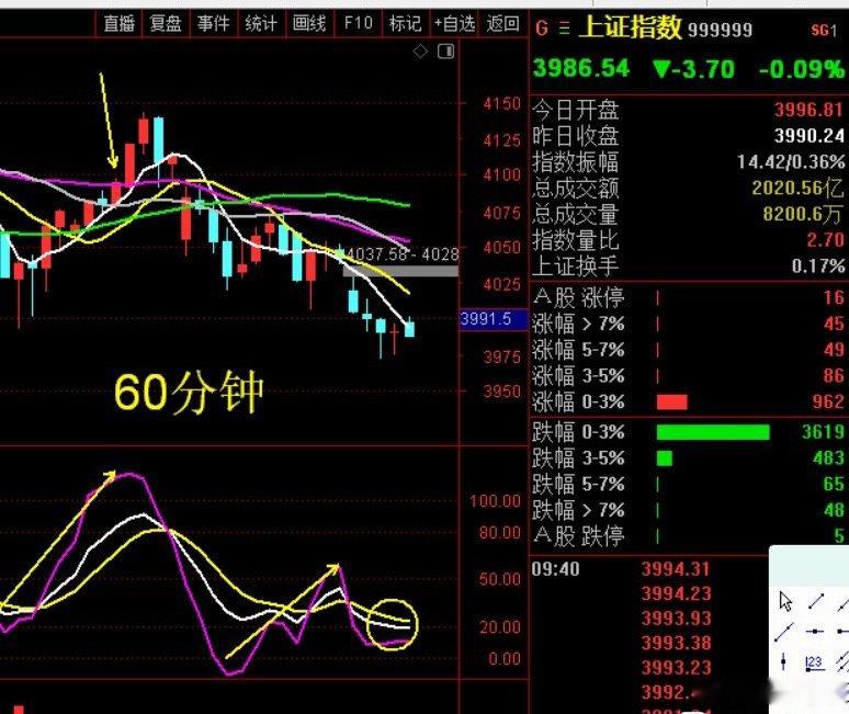 弱狗行情，继续多看少动 