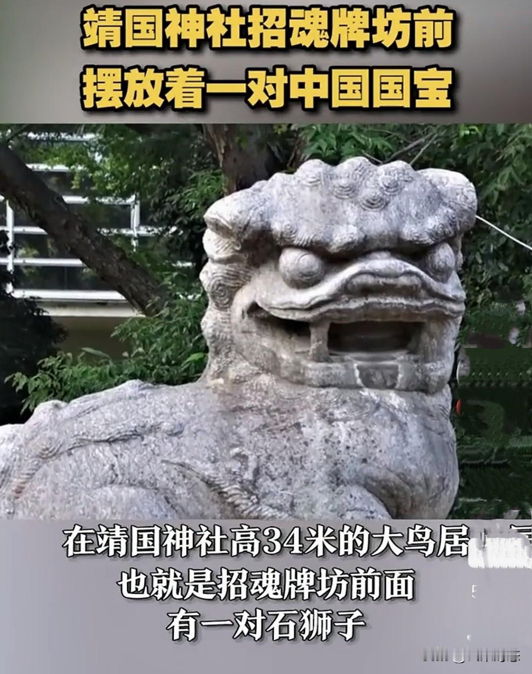 震惊！靖国神社门前的石狮，竟然是从中国抢的？

家人们，今天必须跟大家聊个让人既