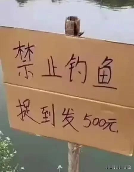 今天去钓鱼，看的这个牌子，我当时就迷茫了