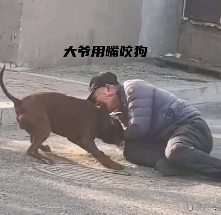 人与狗狗惨烈大战。
因为狗狗主人的一时疏忽，没拴绳的大狗跑出家门疯狂撕咬路过的大