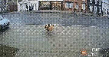 毛孩子阻止小主人远离危险，这样的画面每看一次，都会感动一次，画面中的这个毛孩子，