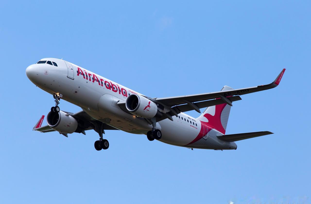 【客机起飞11秒突俯冲险坠海 距海面200英尺才拉升】廉价航空阿拉伯航空（Air