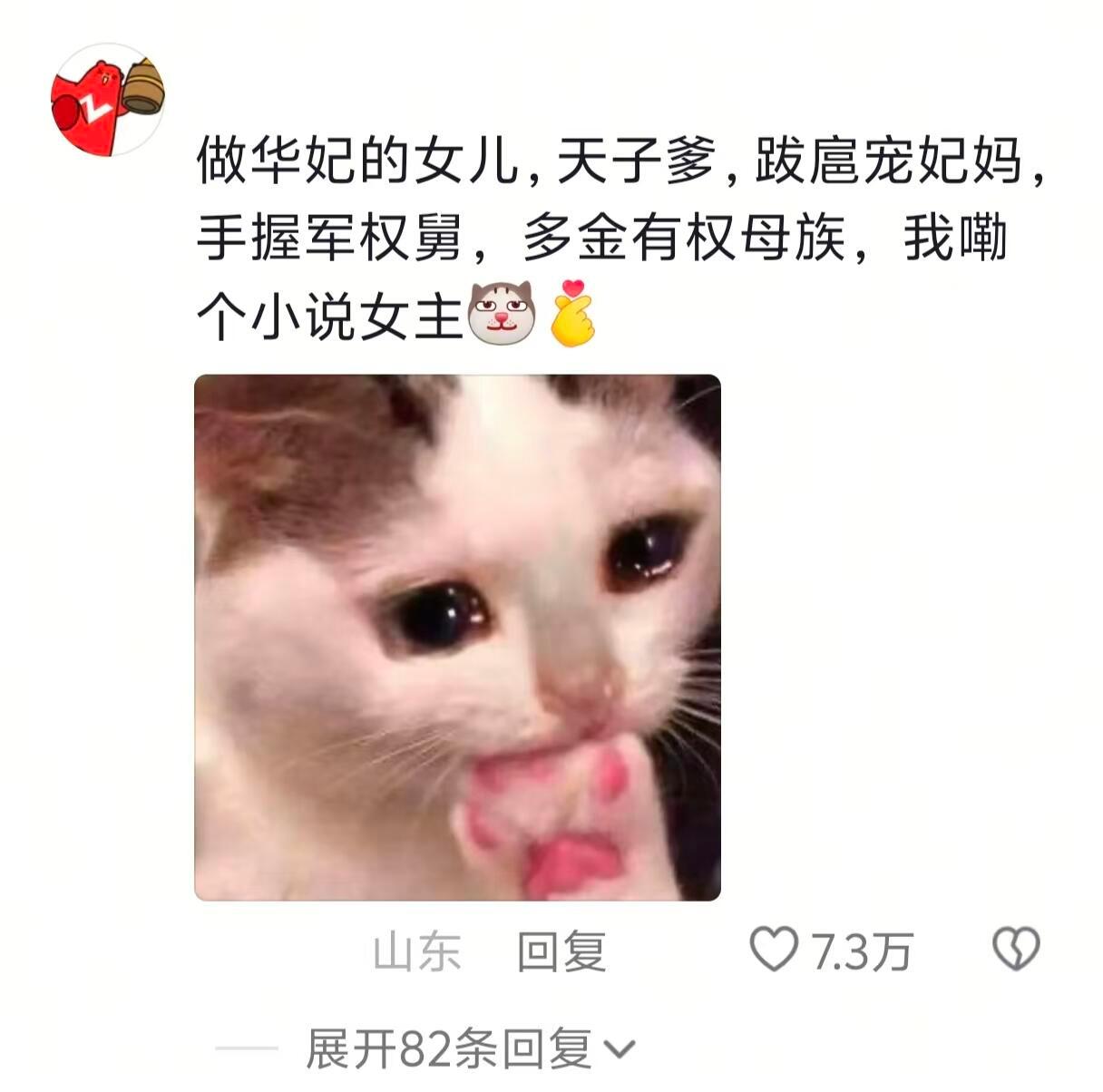 《假如华妃有了女儿》 