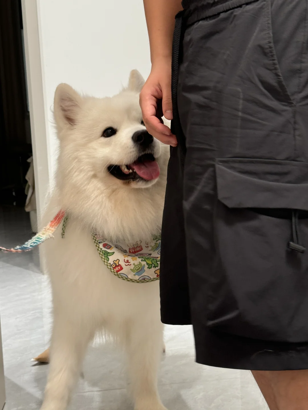 用一张图证明耶耶被你养的很好！