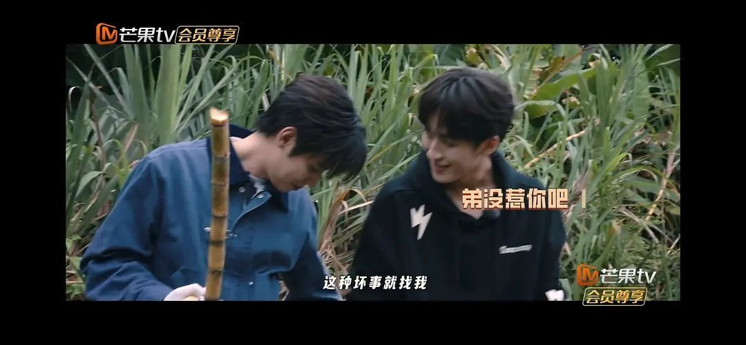 感觉任豪和何洛洛之间的氛围怪怪的 