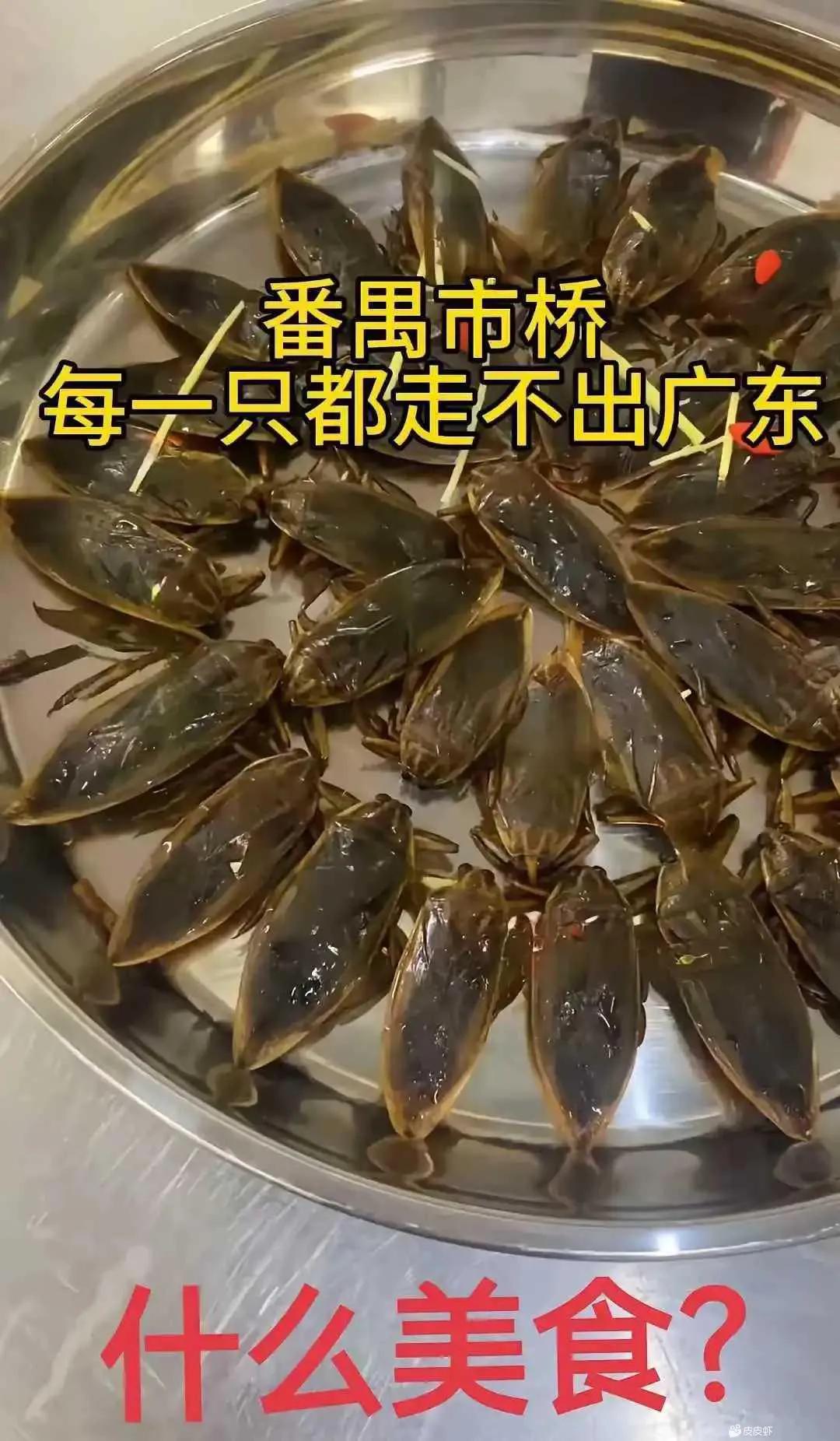 有人知道这是啥吗