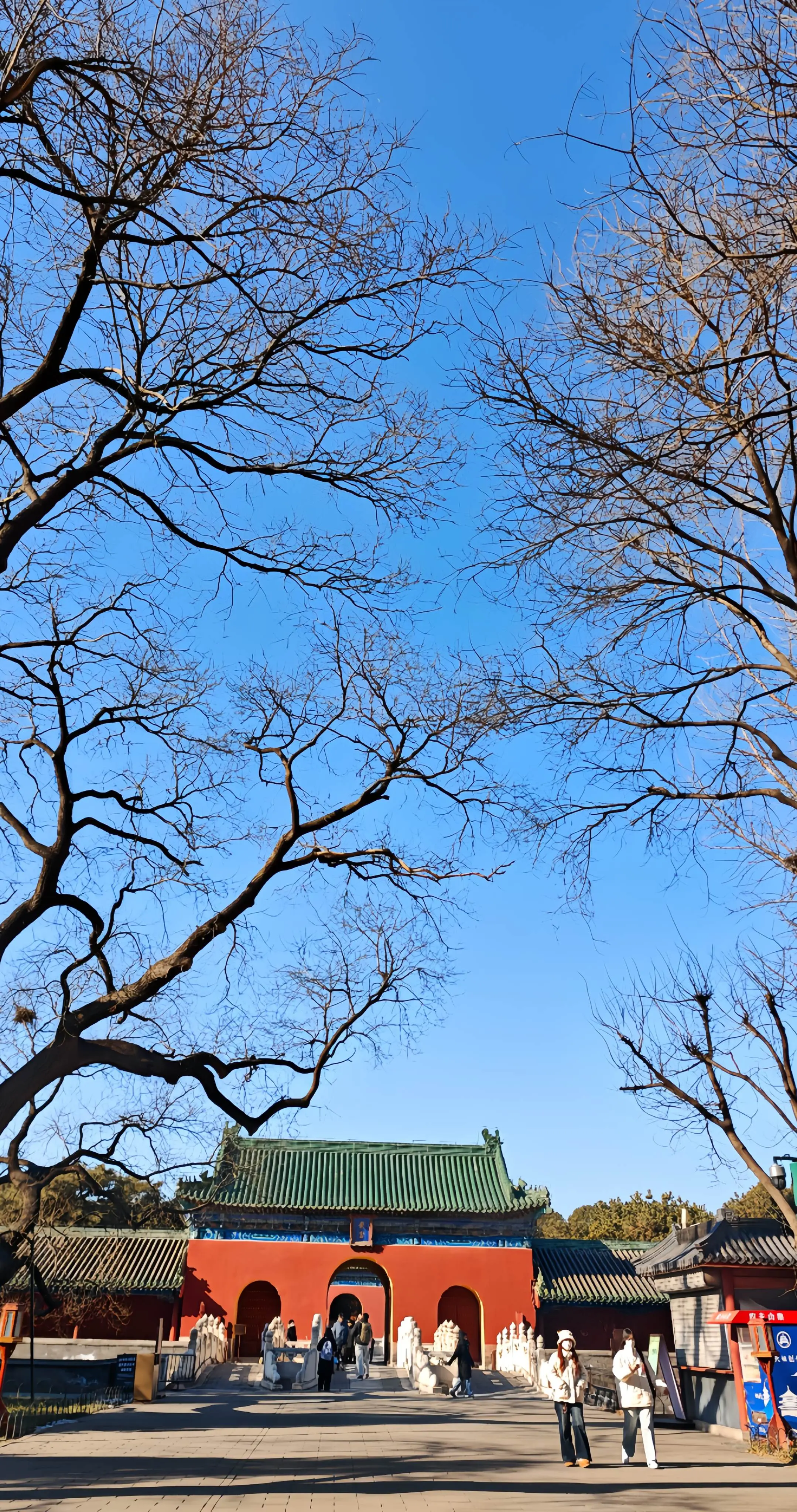 我曾以为 只要足够虔诚就能接住另一颗心的温度 可我忘了 人与人之间 没...