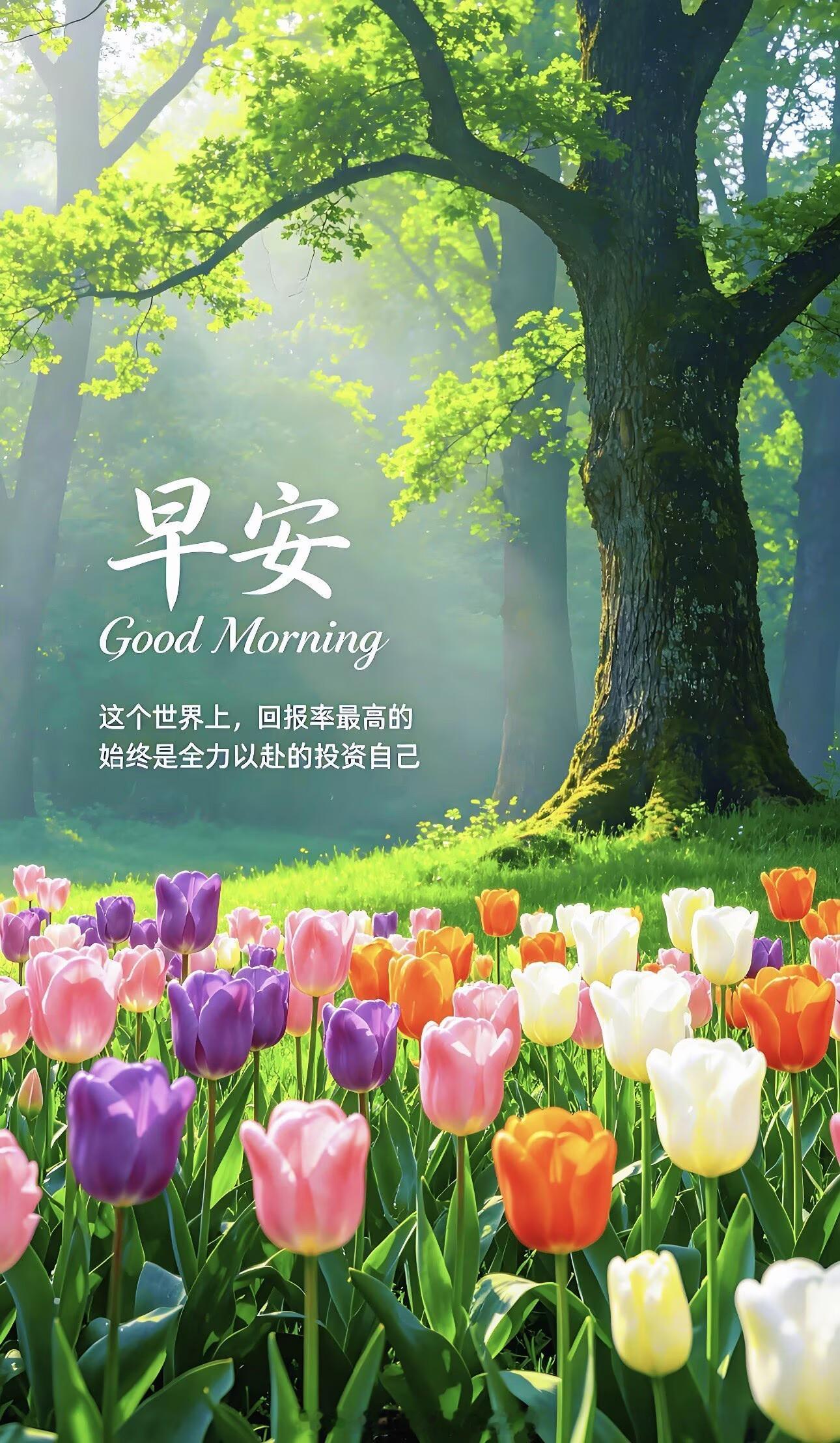 早安朋友们！想要在外汇市场里立足，铭哥用多年来纵横沙场的经验告诉你，这五样东西绝