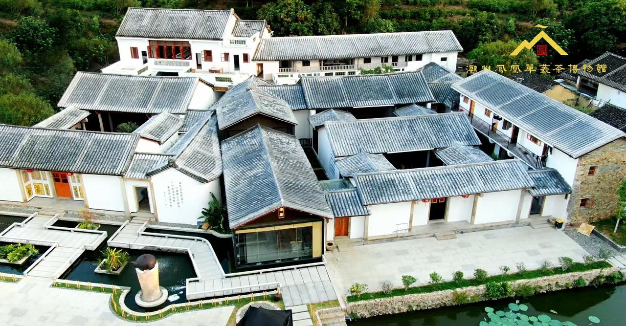 潮安茶乡一日漫游｜把山野茶香装进旅途🍃

来潮州别只蹲古城！这条凤凰茶乡路线氛