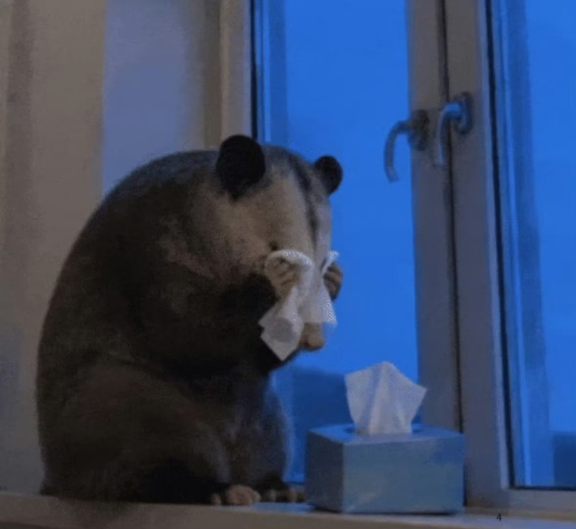 好了不起的剧组 ​​​