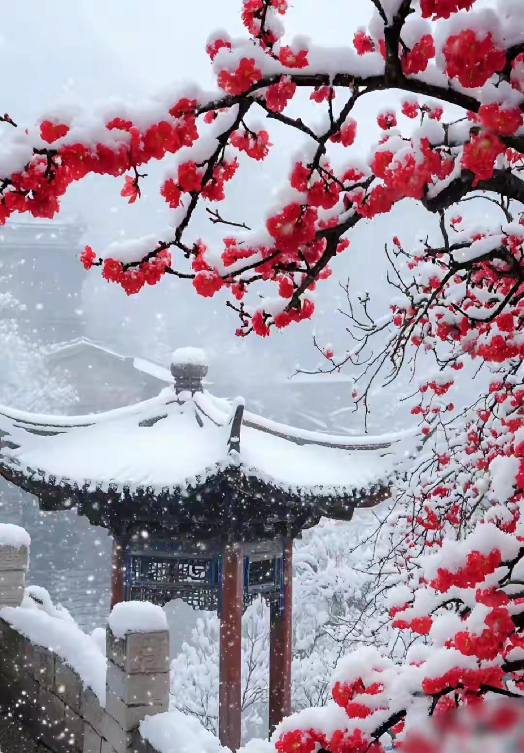 下联：月映冰枝鹊语轻

赏析：这幅对联中，下联“月映冰枝鹊语轻”与上联“风摇雪影