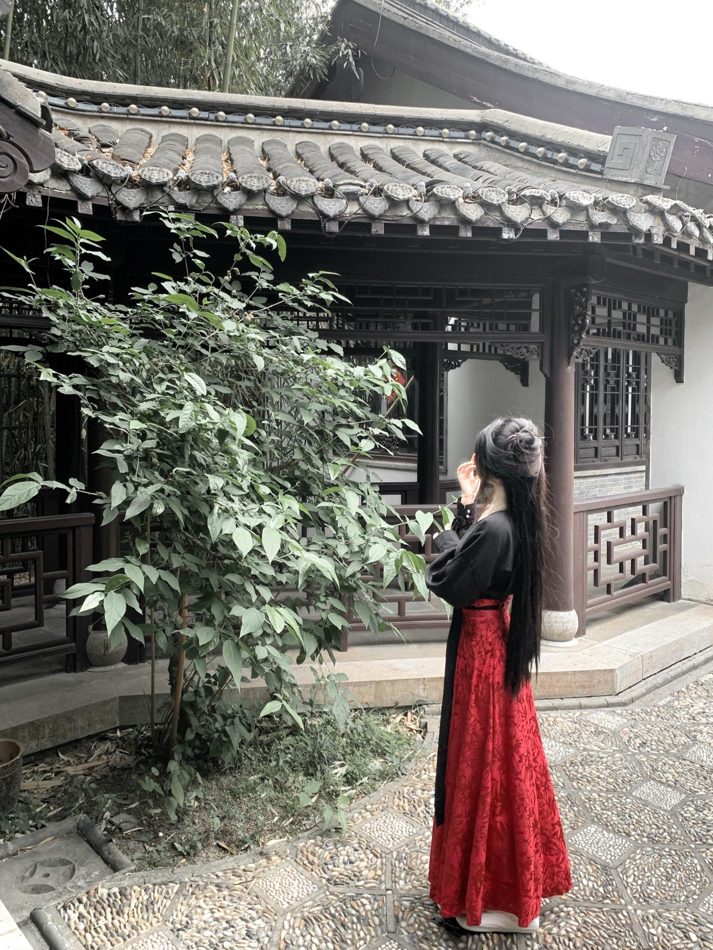 庭有枇杷树 吾妻死之年所手植也。今已亭亭如盖矣 东方美学