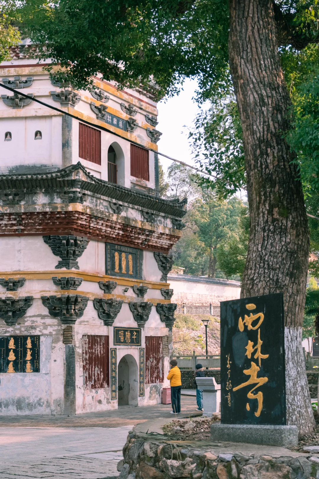 原来苏轼笔下的“不识庐山真面目”写在这