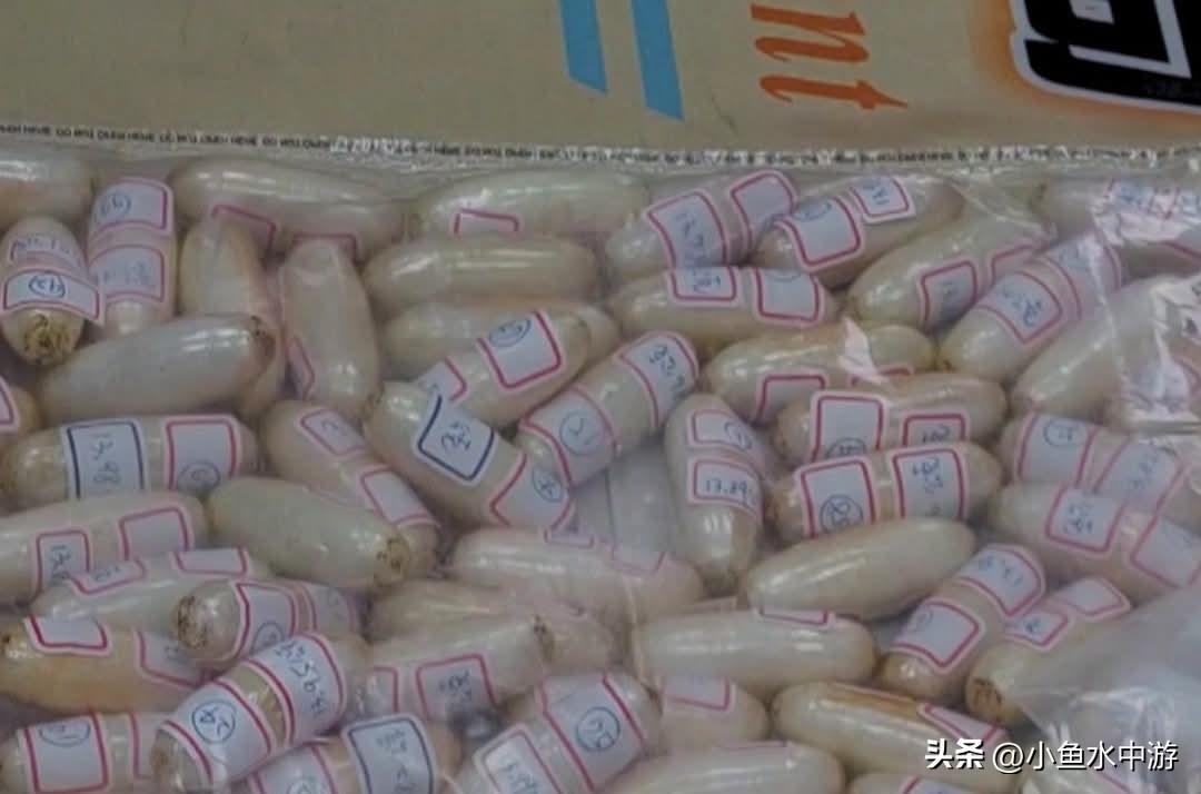 ⚠️男子花了整整五天，才排出体内重达1.4公斤的毒品
 
桃园机场侦破一起人体藏