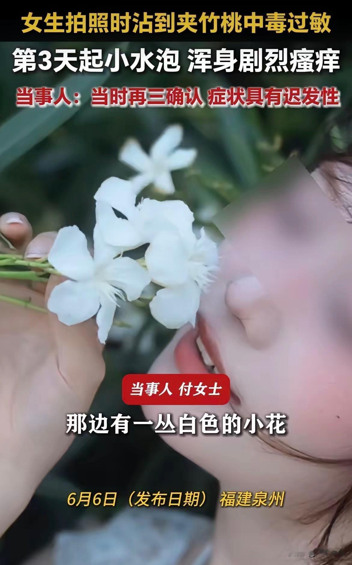 泉州一名女子为拍照，将白色夹竹桃含在口中摆姿势，虽事后及时清理，却还是中招。起初