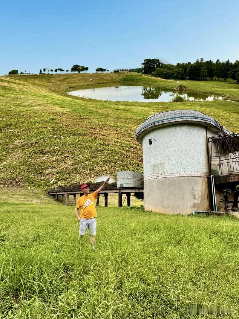 【佛山阿勒泰.佛山顺德平步村营地】常被称为平步大草原或平步落羽杉林营地是近年来在