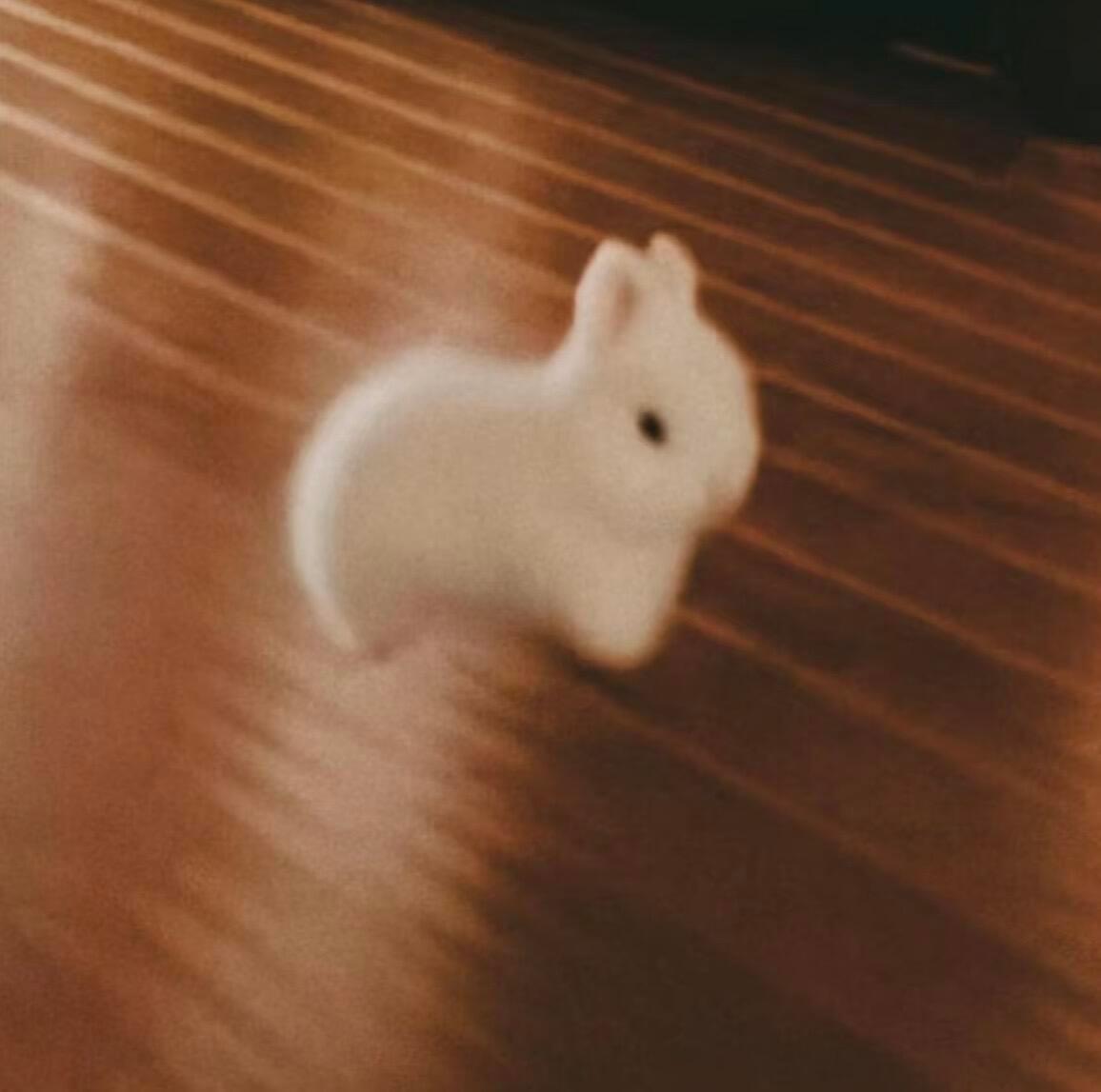 𝙒𝙚𝘾𝙝𝙖𝙩丨抽象但很萌萌物 丨可爱搞怪 丨抽象 丨搞怪头像 