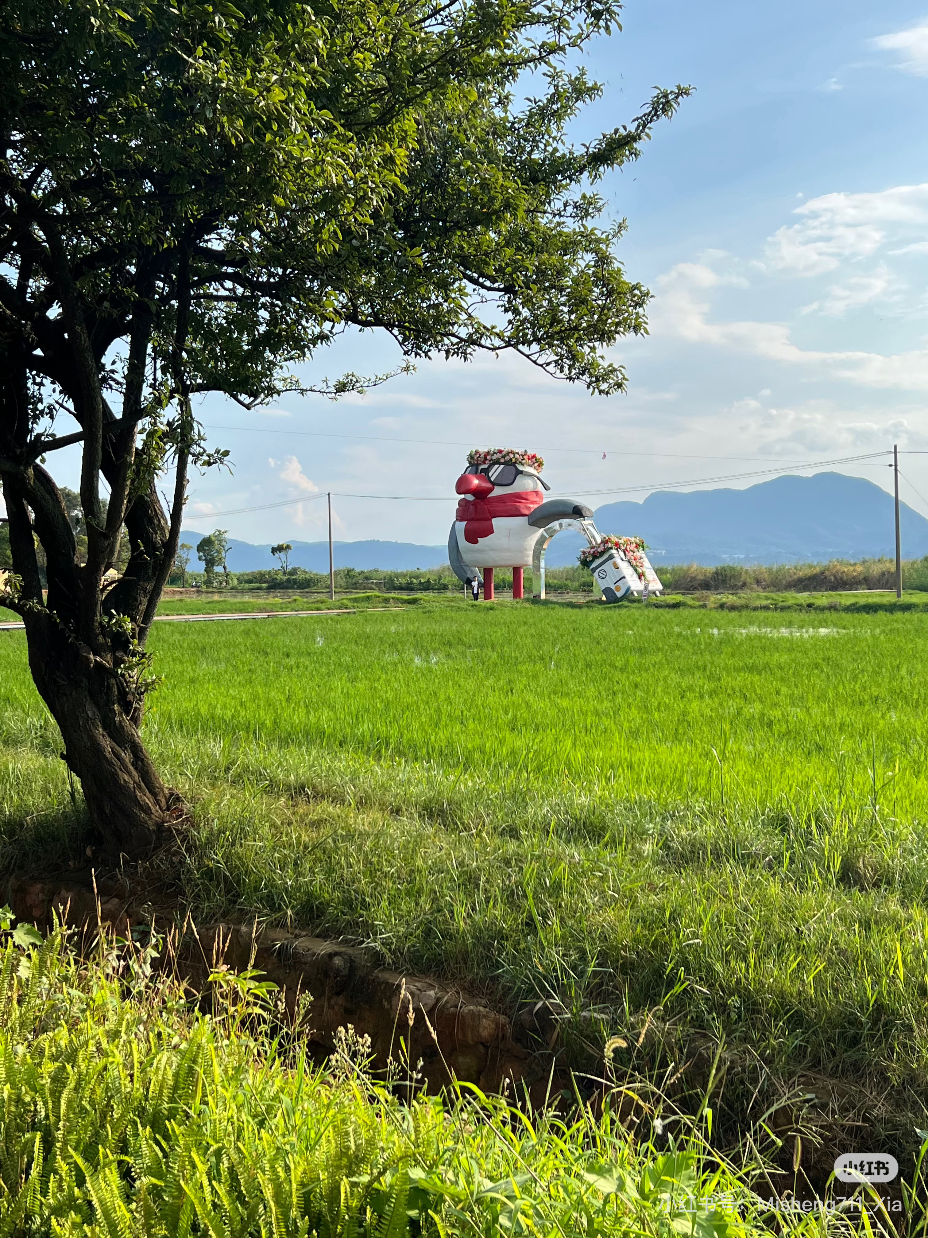 读书可以让人生变得更辽阔我的私人宝藏书单书评 我选取汪曾祺《人间草木》里极具治愈