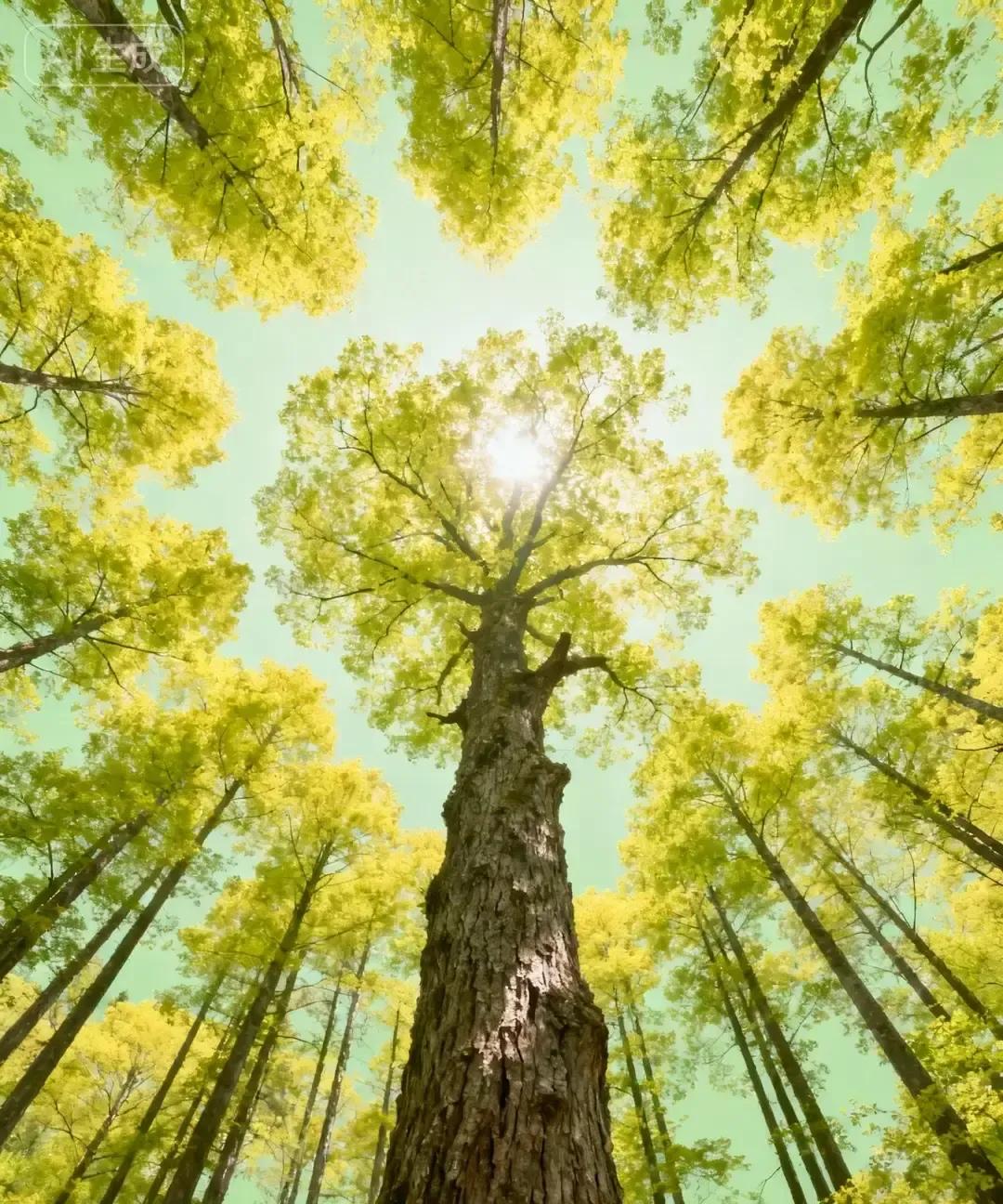 亲家最该守的底线我总结就仨字别插手去年我表姐婆婆非要给她妈介绍理财结果五万压岁钱