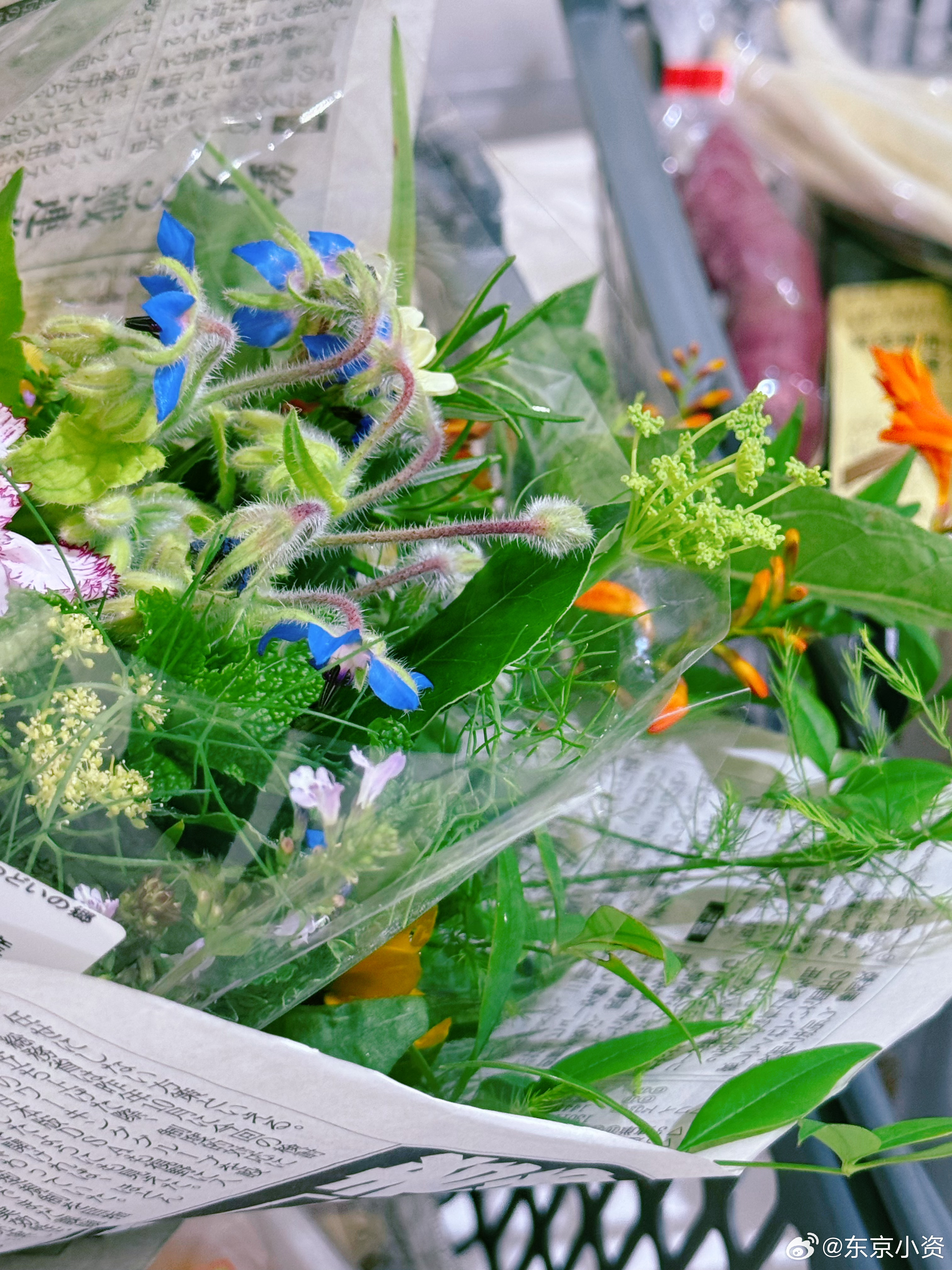 早安🍀🍀🍀资家早餐 蓝莓面包、溏心蛋、无花果培根色拉🥗、香印绿葡萄奶酪塔