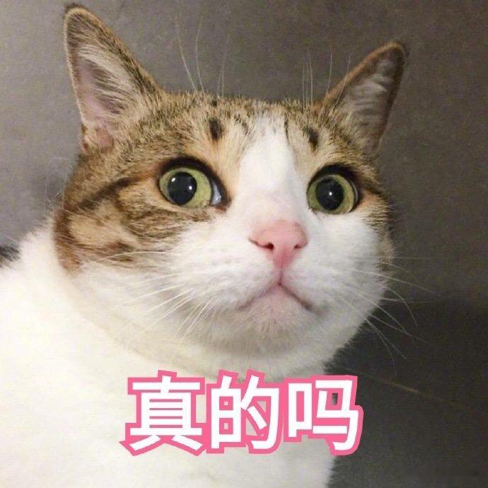 第一批毕业生已经开始享受了 不少人刚毕业都处在浑浑噩噩的状态，慢慢挣脱校园的舒适