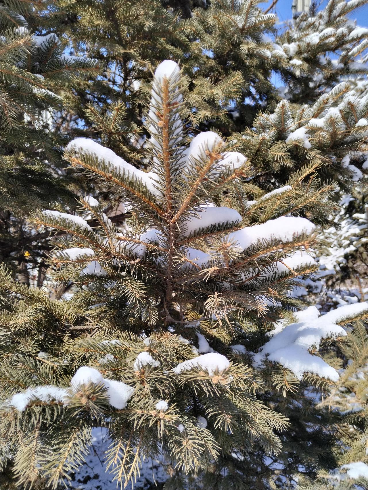 离人远一点儿，就是最好的养生。
先不说我们活多久，只说眼前。
你想活得舒服，就要