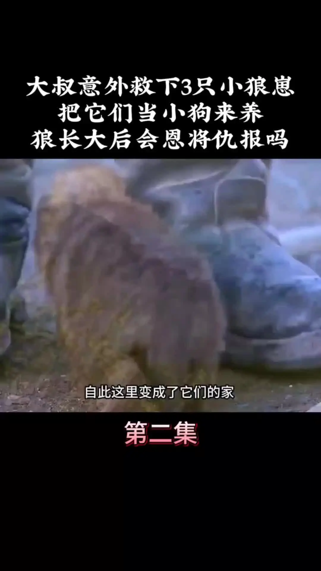 我的观影报告 内容启发搜索