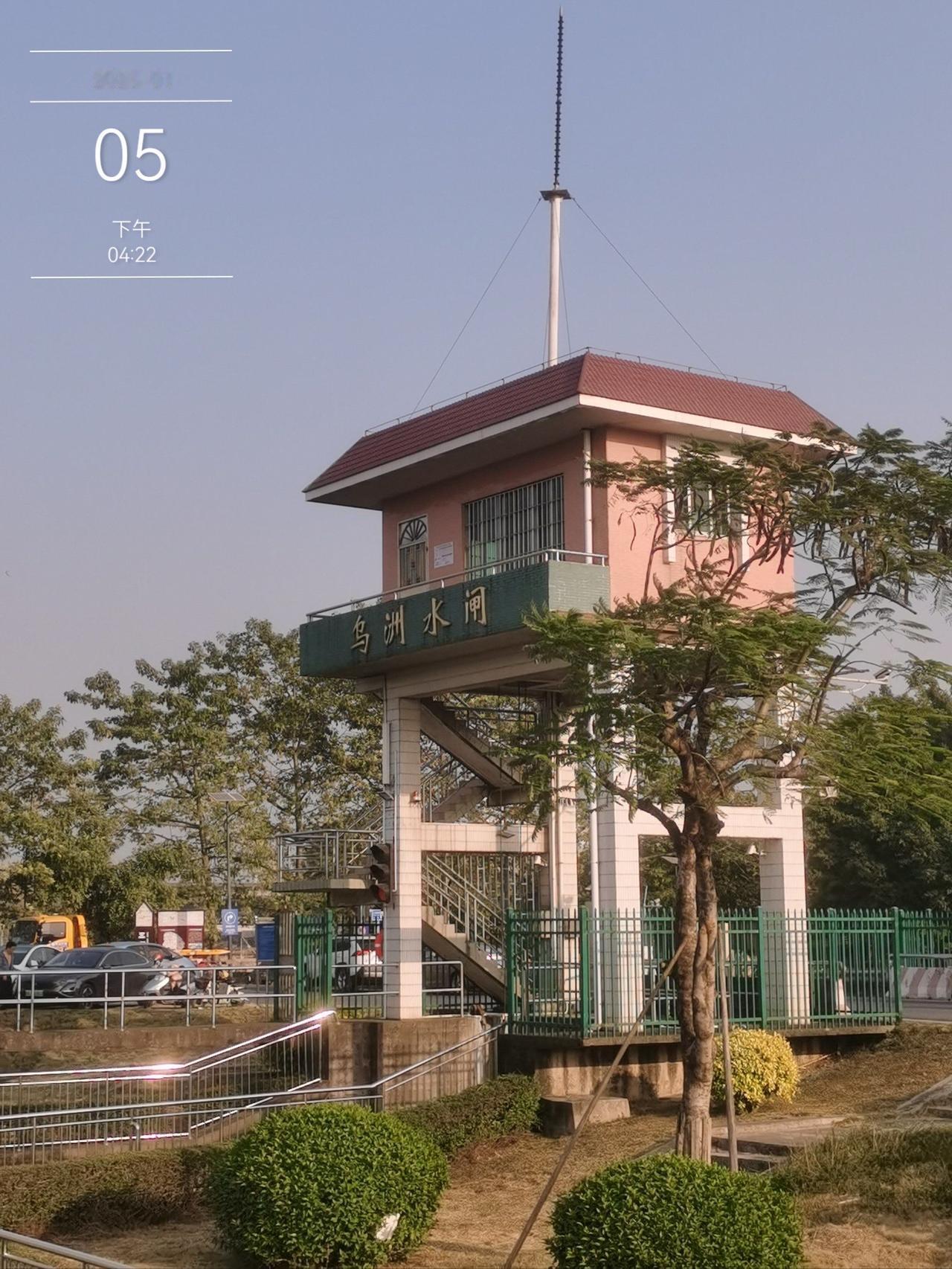 顺德乌洲水闸｜免费治愈秘境，落羽杉+江景+夜市一站式玩遍

藏在顺德伦教的乌洲水