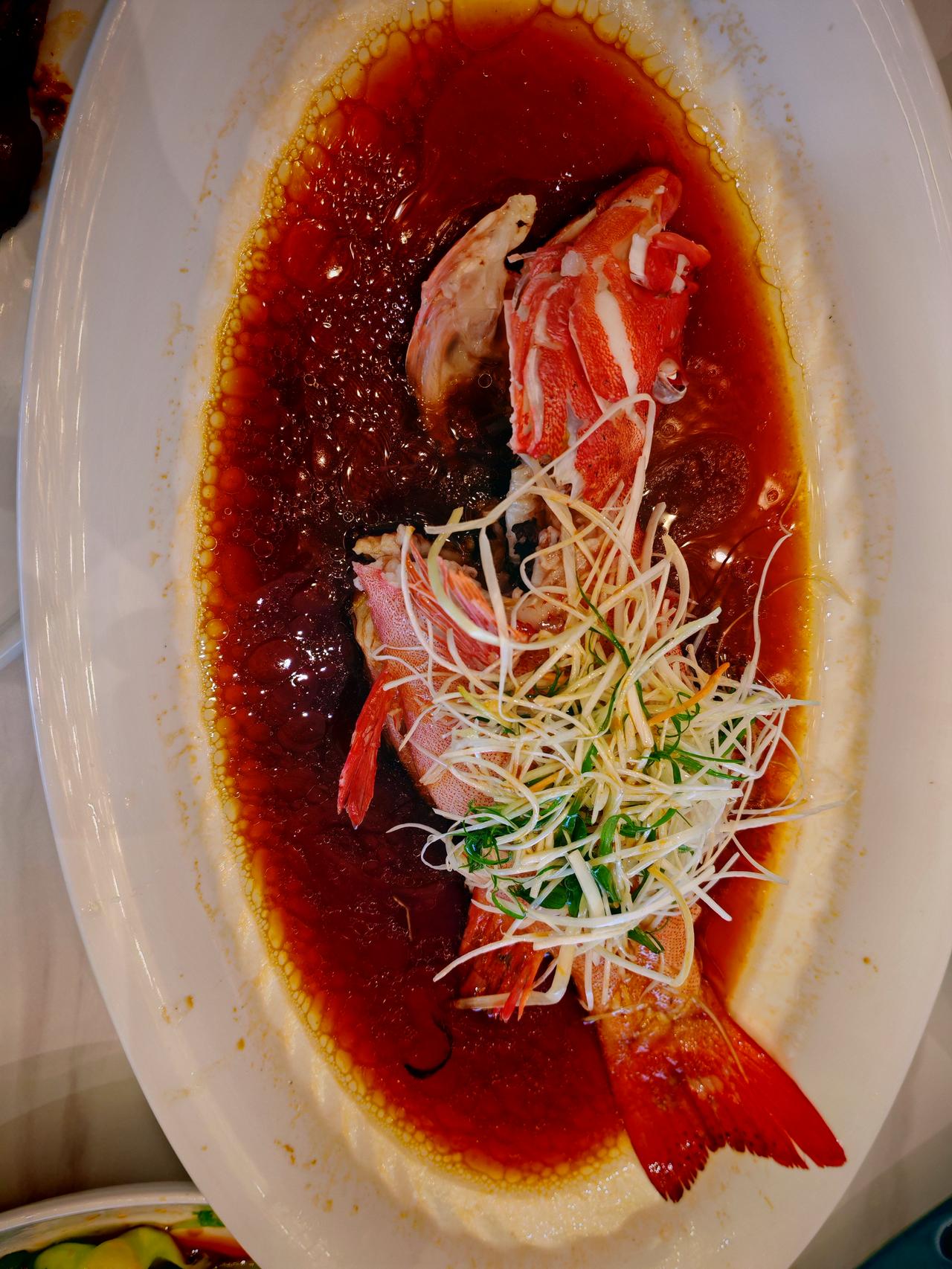 春日生活打卡季