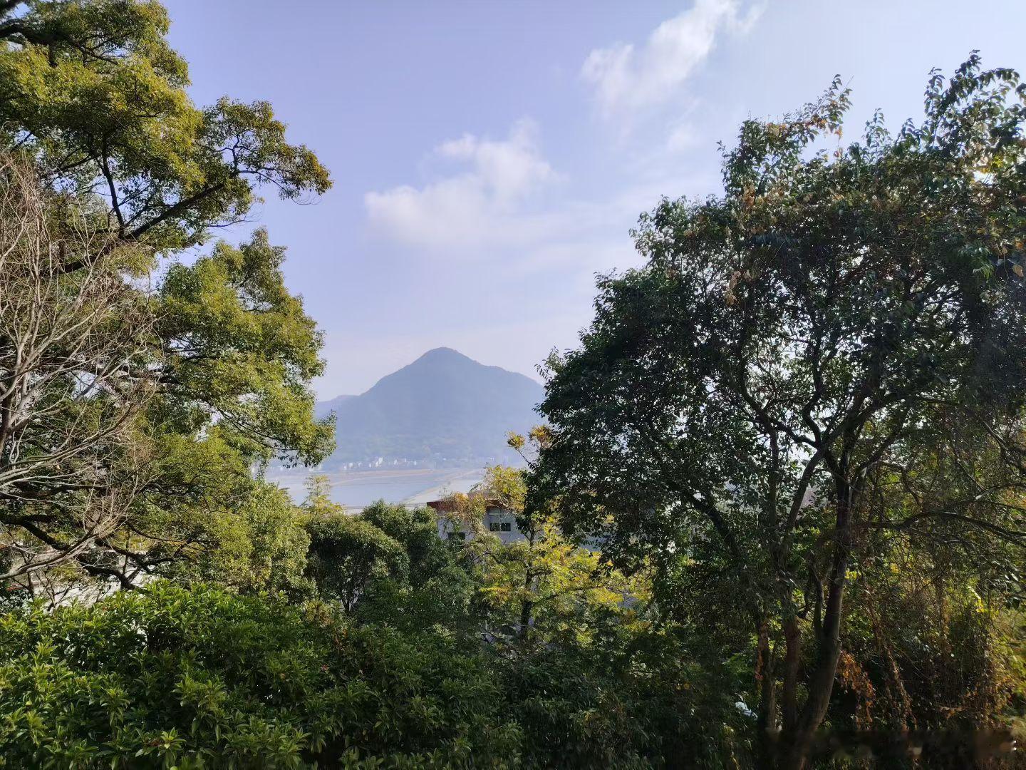 生活手记流于口头的爱意，终会在现实的琐碎里失去分量。那些反复提及的在乎与珍视，若