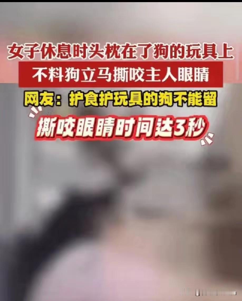 一女子差点被自己的狗咬瞎！
    很多养狗人当看到自己的狗狗扑向别人的时候，总