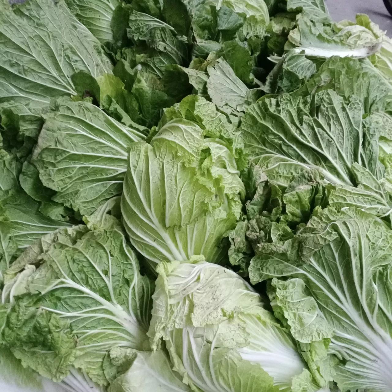 冬天都不用买菜了
大姑和大伯给了好多白菜。
大家说白菜都是什么好吃的做法?