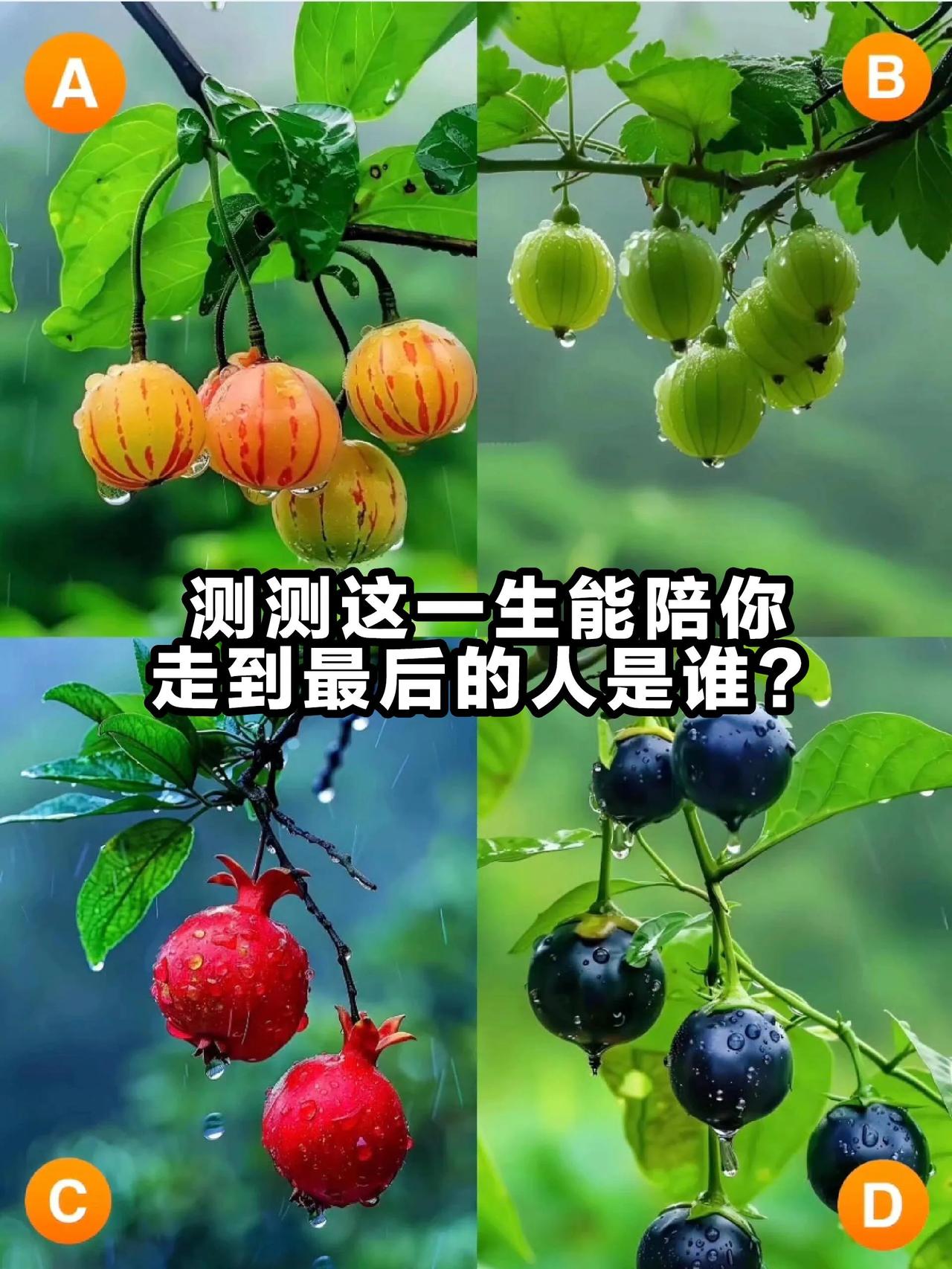 心理测试：
测测一生能陪你走到最后的人是谁？？
下面四幅图的水果，你会选择哪一幅