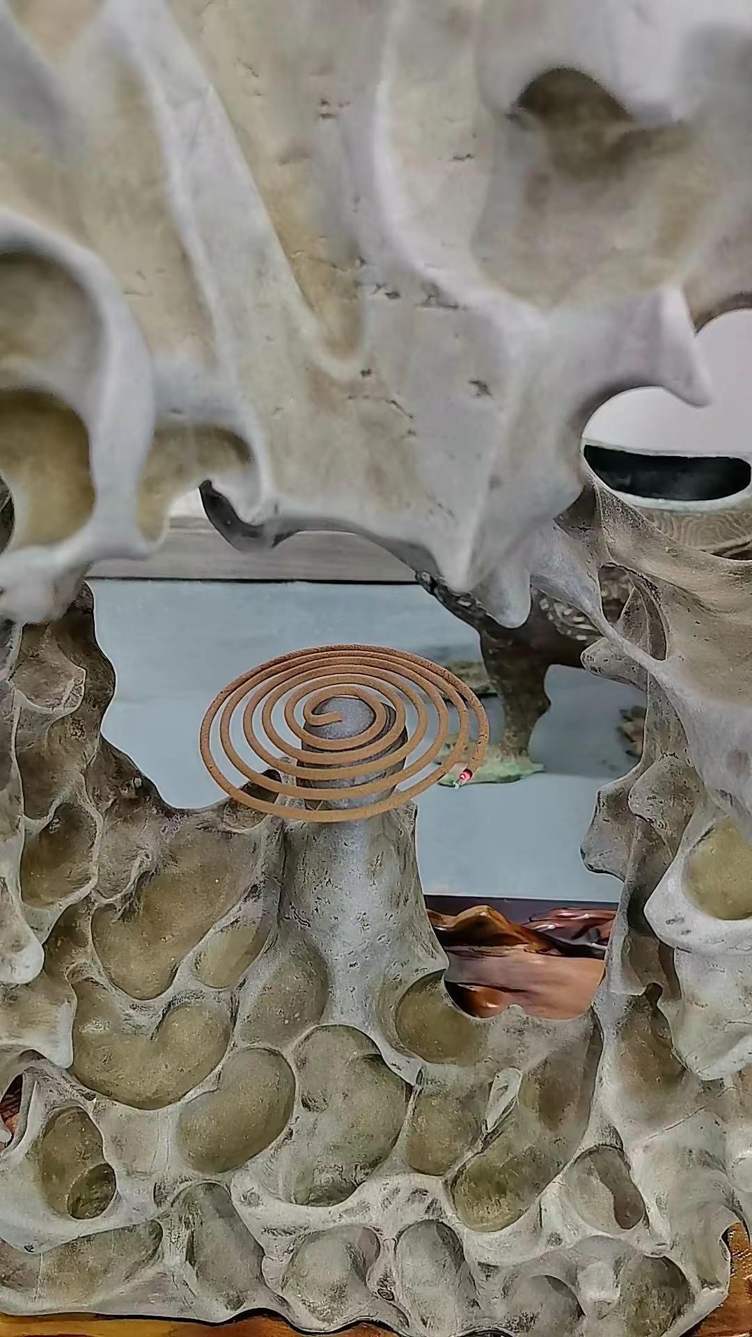 生命力的石头。石的魅力