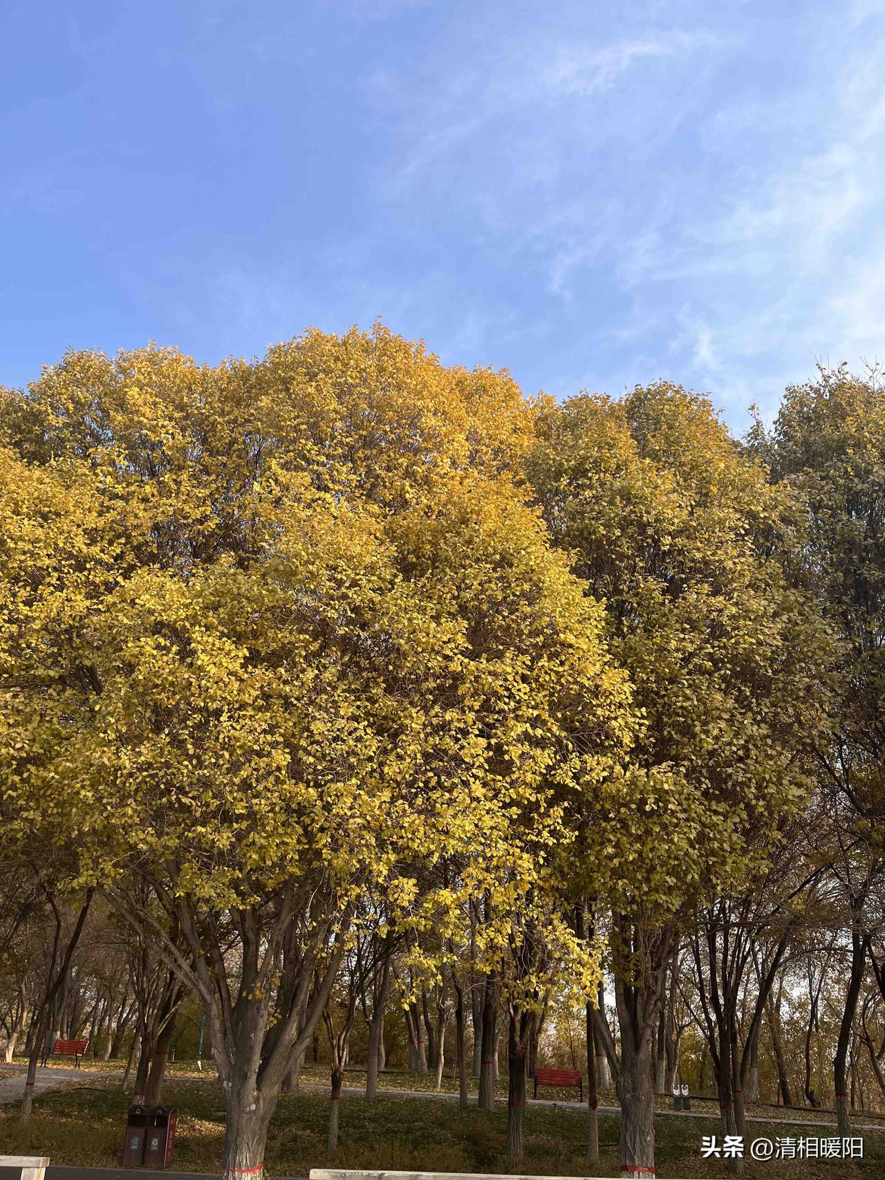 九月的最后一天，乌鲁木齐最高气温23℃，最低气温14℃，明天就要迎接崭新的十月，