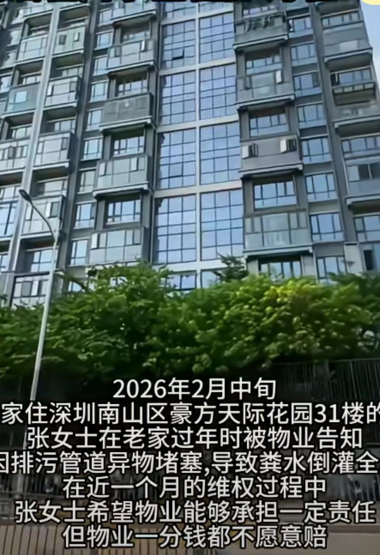 女子花9万每平方买的豪宅被粪水倒灌，装修损失约30多万，找物业维权。物业称，不是