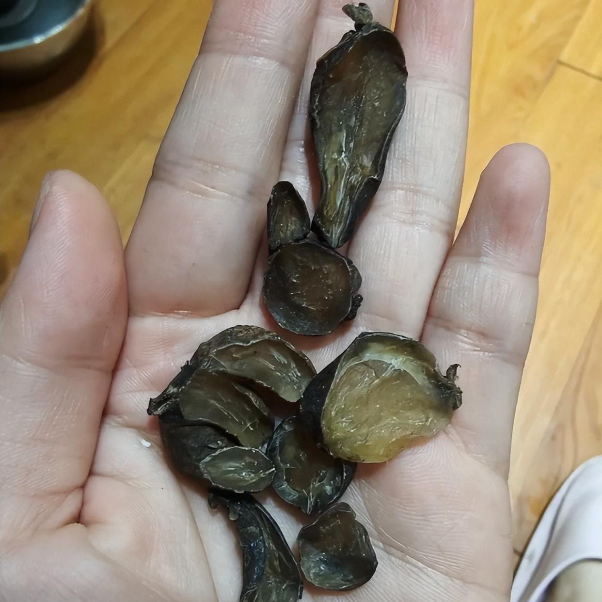 阳气不足，宗筋都抬不起


李可说 “阳气一处不到就是病”，很多人听不懂这话的意