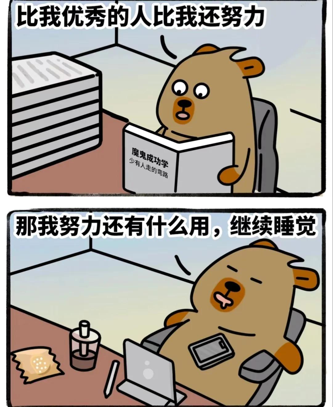我感觉我的前半生有一半时间在摆烂，在没有出现摆烂这个词之前我认为是顺其自然。
我