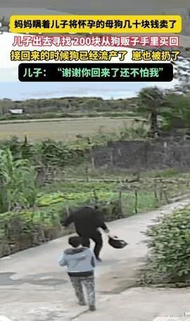 泪目了！湖北这位妈妈瞒着儿子卖掉临盆母狗，儿子知道后，竟花42小时，出几倍价钱从