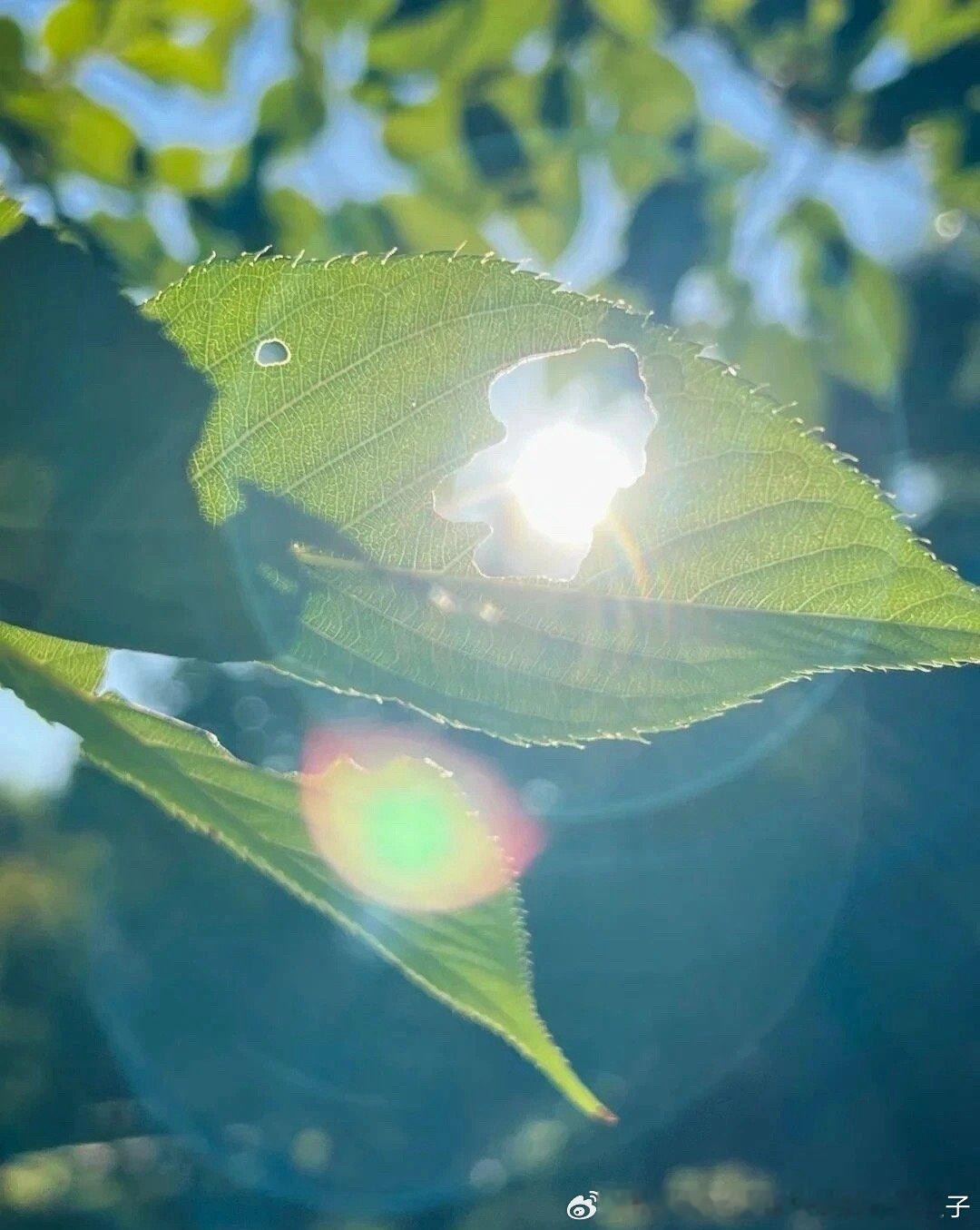 通往时间轨道的钥匙是静心冥想