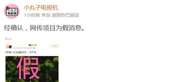 迪丽热巴 双城 对接否认出演传闻！《双城》相关网传信息均不属实 ​​​