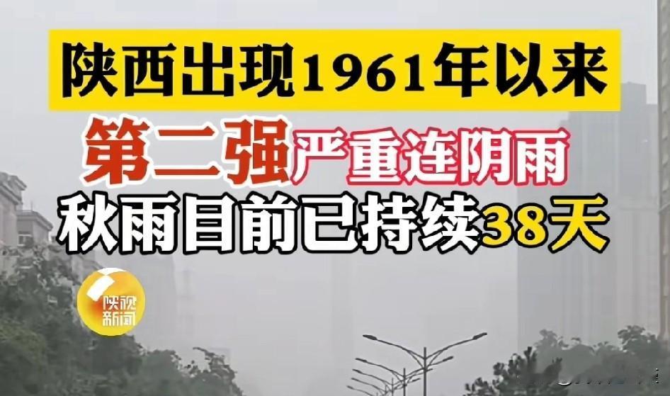 夏天的时候没下几次雨，大家说下了个寂寞[笑哭]
这下好了
从9月份开始的连阴雨一