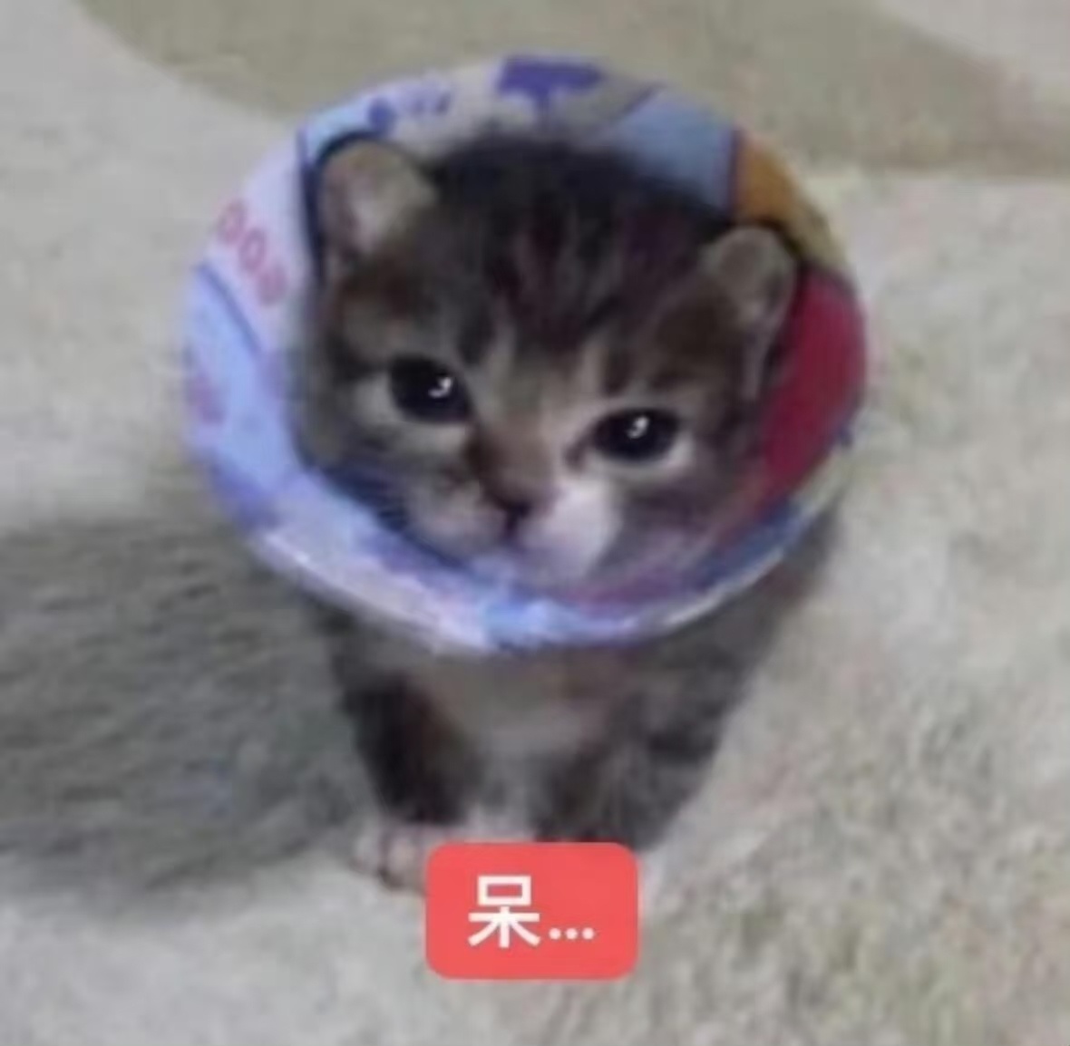 剧是没去n刷的2077是不想过主线的wm是懒得肝的 