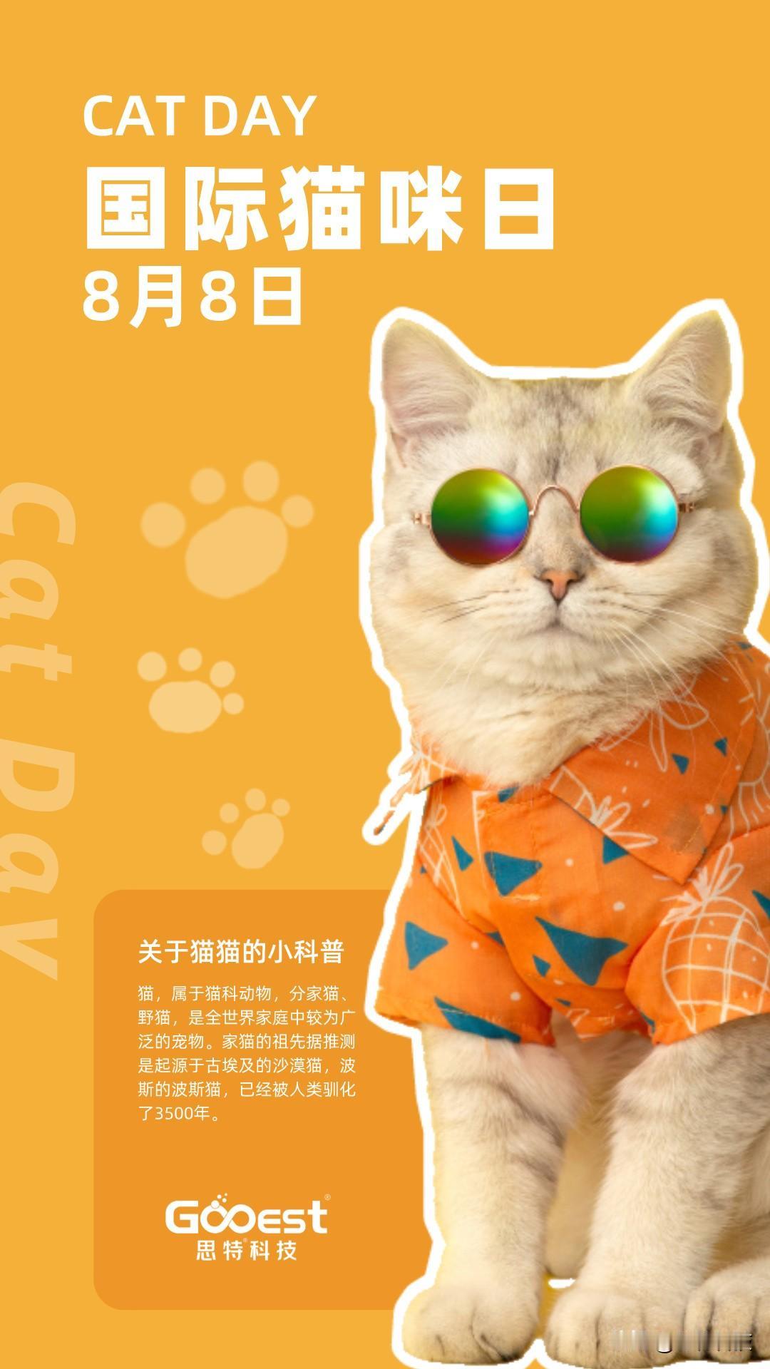 轻手轻脚的推开门，黑暗中忽然亮起两簇小小的星光——它蹲在鞋柜上，尾巴尖轻轻一勾，